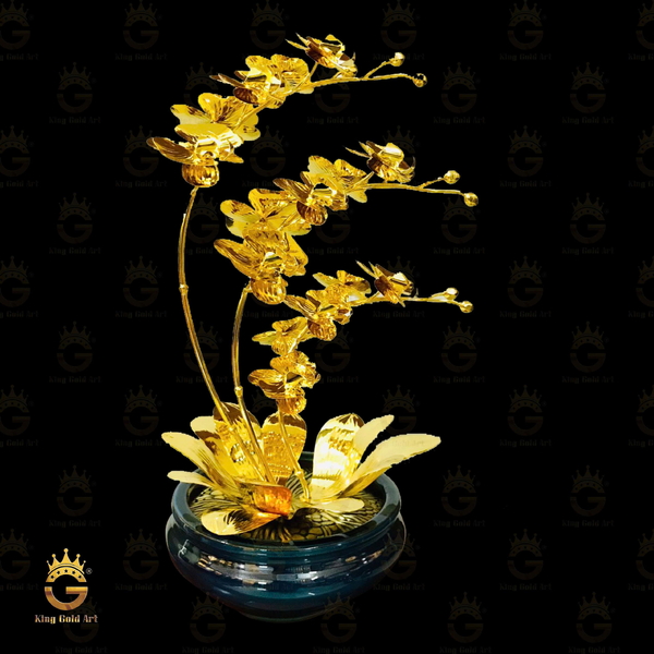 Chậu Lan Hồ Điệp Vàng Dáng Long Thăng Bát Gốm Ngọc Sâu Lòng