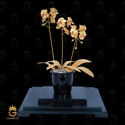 Chậu Lan Hồ Điệp Vàng Tam Nhánh Khung Đôn Đen Luxury