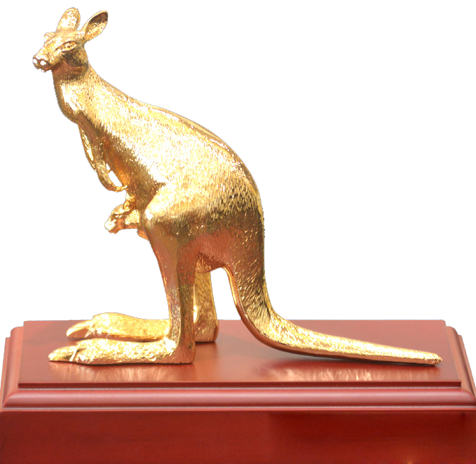 Chuột túi Kangaroo